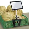 Immagine di PINZA SNODABILE CON ATTACCO NEMO per Solum 7,5"